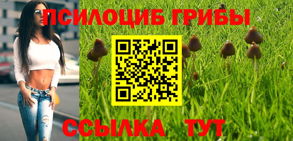 Туапсе  Галлюциногенные грибы Psilocybe  Вход с VPN 